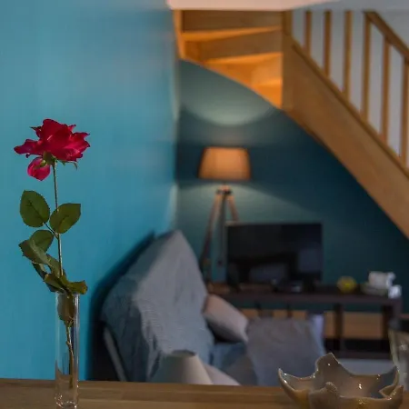 Tasteful In Comes With Terrace * Commes